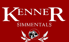 Kenner Simmentals